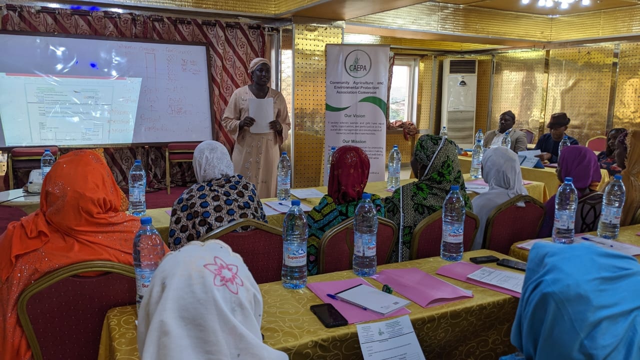 Mbororo women advocates at the dialogue table